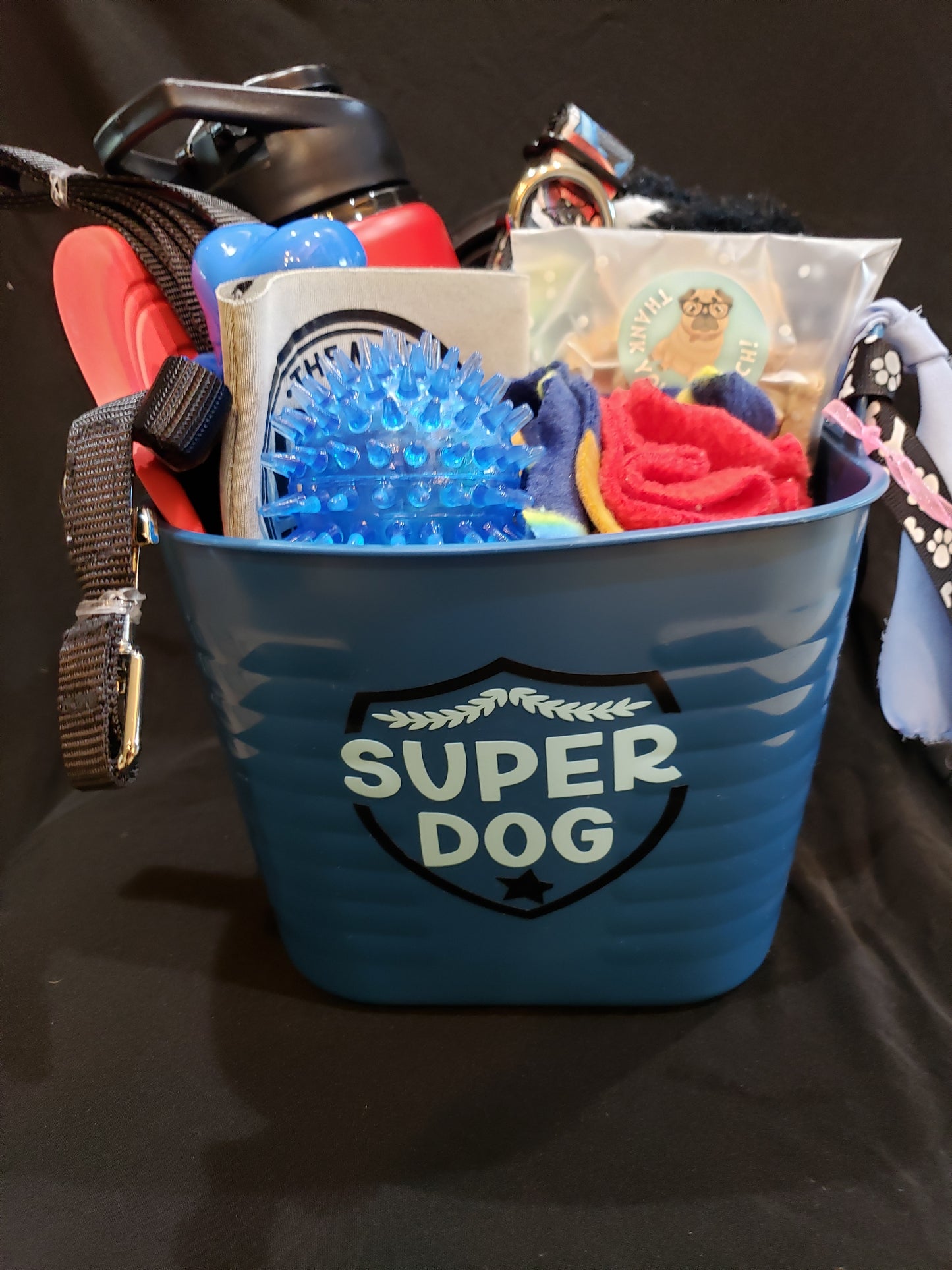 DOGS RULE! PET Themed Basket- SUPER HERO/SUPER DOG